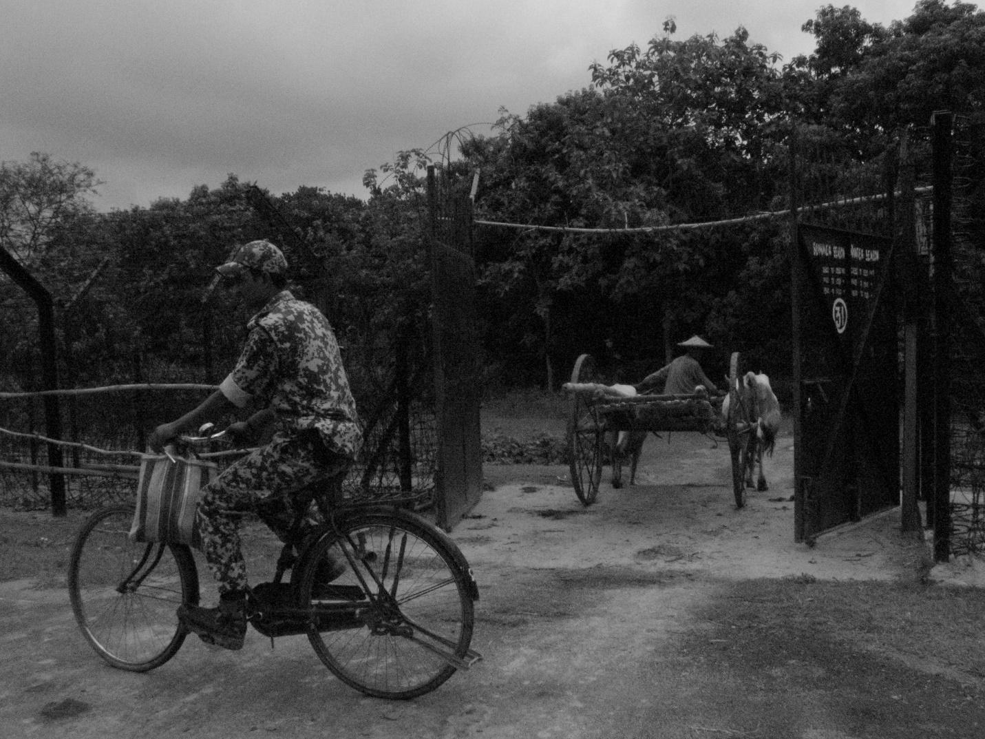 Bangladeshi farmers cross over at the border to their fields in India for farming daily